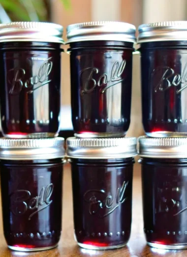 A step-by-step black raspberry jam recipe using liquid pectin, lemon juice, and sugar. Includes tips for seedless black raspberry jam, black raspberry jelly, and making jam from frozen berries. Easy method with water bath canning and altitude adjustments.