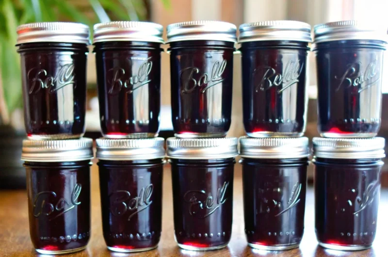 A step-by-step black raspberry jam recipe using liquid pectin, lemon juice, and sugar. Includes tips for seedless black raspberry jam, black raspberry jelly, and making jam from frozen berries. Easy method with water bath canning and altitude adjustments.