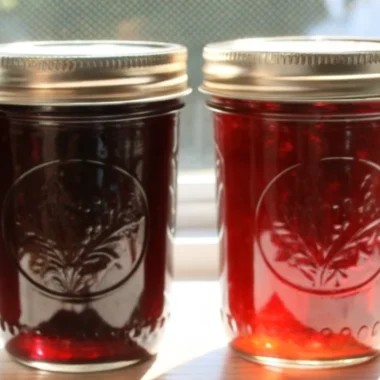 Homemade beach plum jam recipe in glass jars with fresh beach plums and wine ingredients on rustic coastal kitchen counter