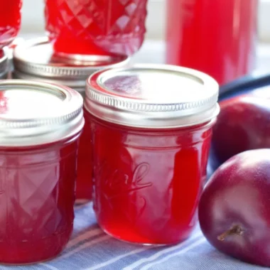"Homemade plum jelly recipe with fresh ruby-red plums, pectin, and sugar ingredients arranged on rustic wooden table with finished jelly jars