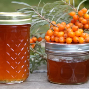 Homemade Sea Buckthorn Jam in glass jars, featuring fresh sea buckthorn berries, nutrient-rich preserves, and antioxidant-packed jam recipes.