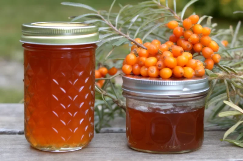 Homemade Sea Buckthorn Jam in glass jars, featuring fresh sea buckthorn berries, nutrient-rich preserves, and antioxidant-packed jam recipes.